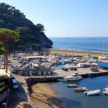 Relais Del Mare Con Terrazza Fronte Mare Free Parking Lejlighed Massa Lubrense Eksteriør billede