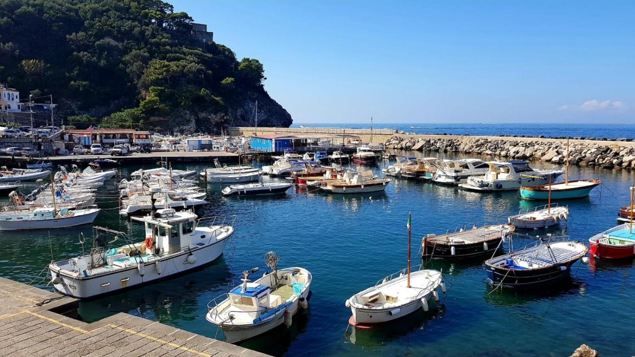 Relais Del Mare Con Terrazza Fronte Mare Free Parking Lejlighed Massa Lubrense Eksteriør billede