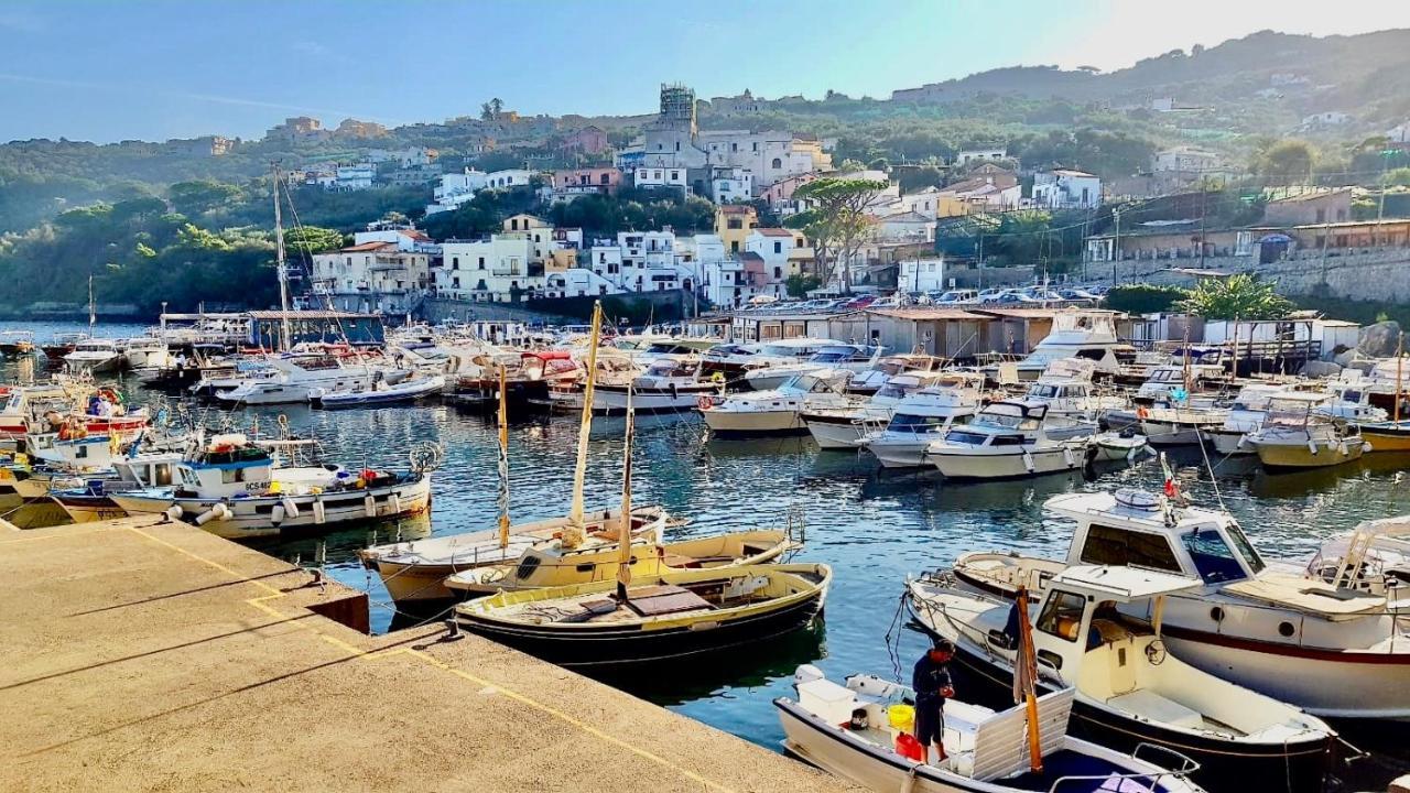Relais Del Mare Con Terrazza Fronte Mare Free Parking Lejlighed Massa Lubrense Eksteriør billede